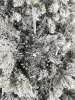 15982-2