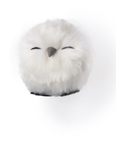 14245